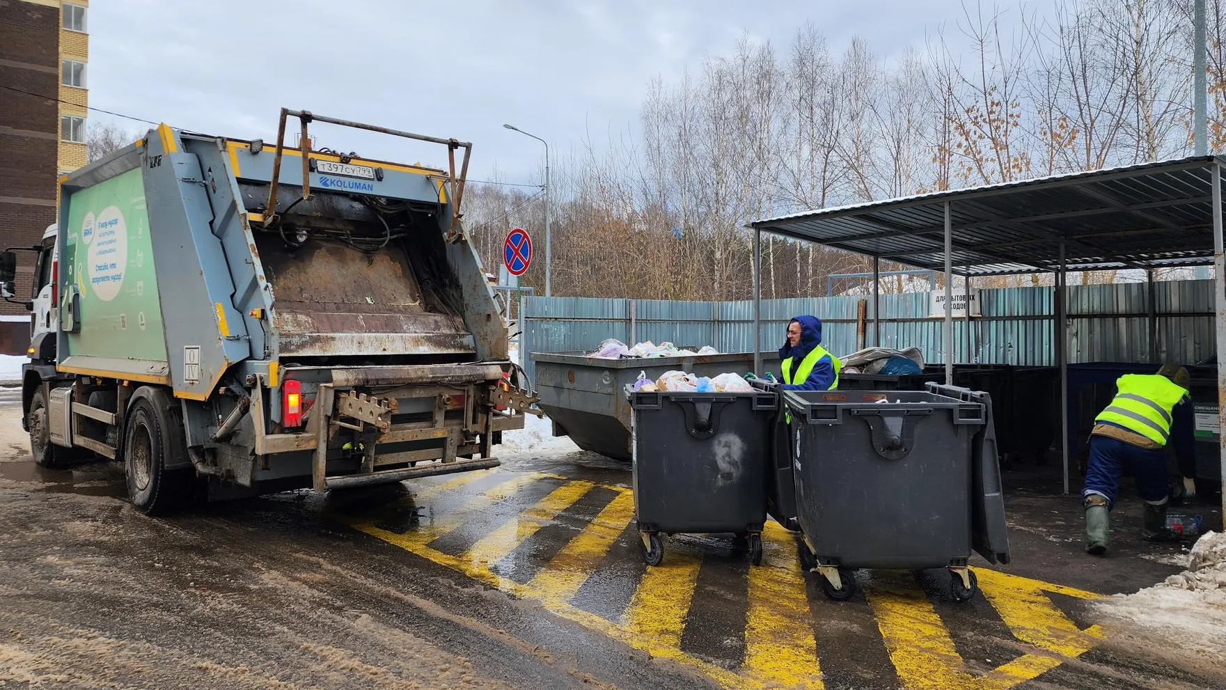 Ксения Пашуто