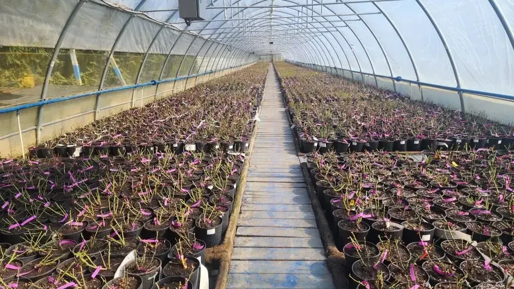 МедиаБанк Подмосковья/Ирина Кузова