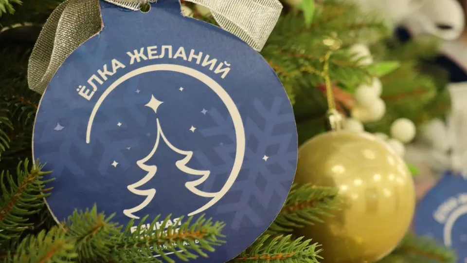 Фото: пресс-служба администрации г.о. Ступино