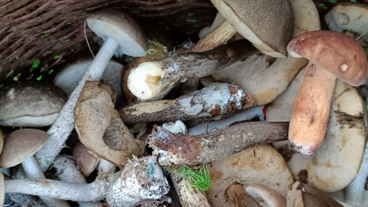 Фото: Людмила Никитина