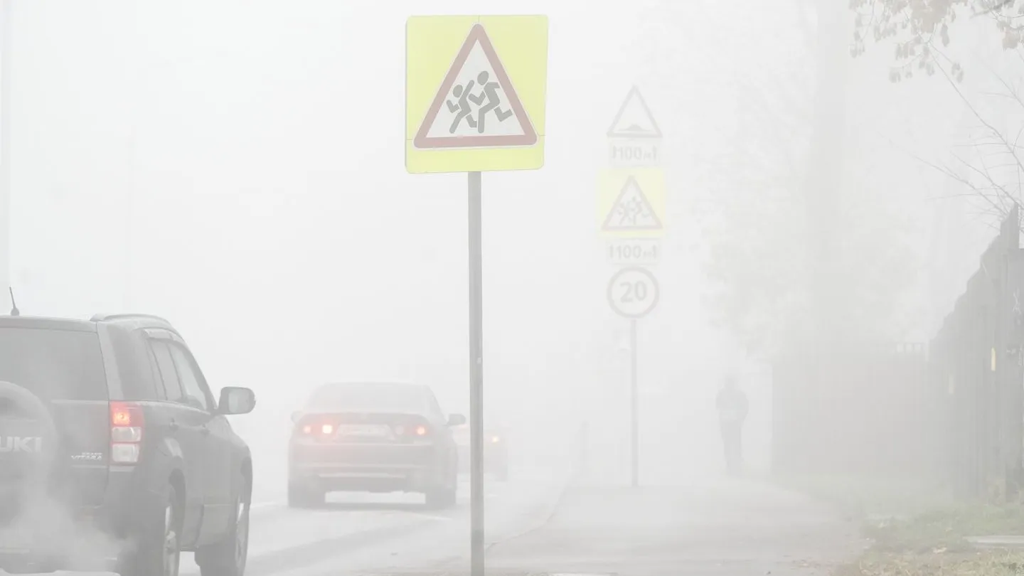 Фото: медиасток.рф