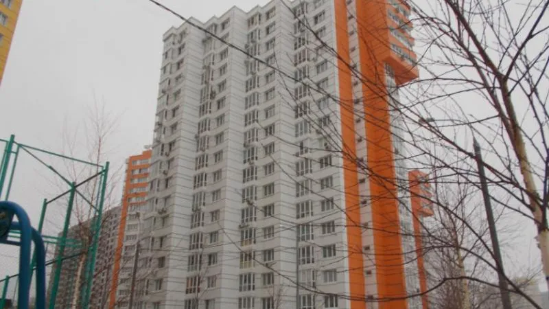 Анна Пенкина / Подмосковье сегодня