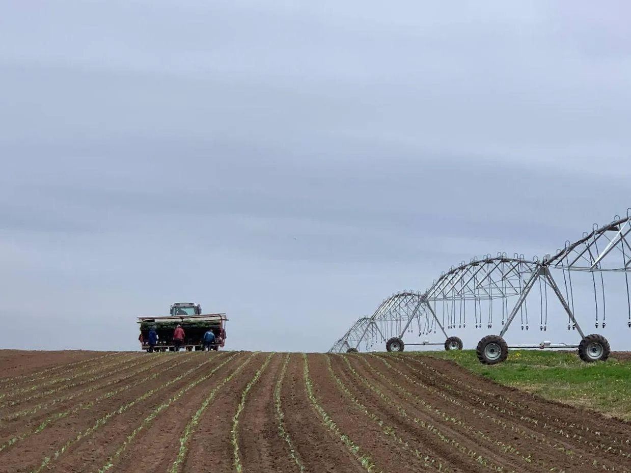Фото: МИНИСТЕРСТВО СЕЛЬСКОГО ХОЗЯЙСТВА И ПРОДОВОЛЬСТВИЯ МОСКОВСКОЙ ОБЛАСТИ.
