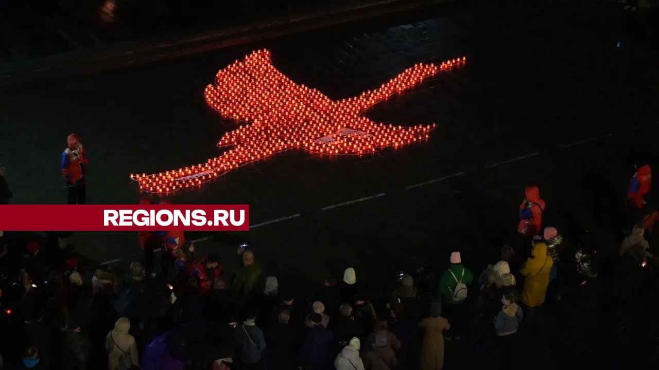 Фото: REGIONS/Дмитрий Зайчиков