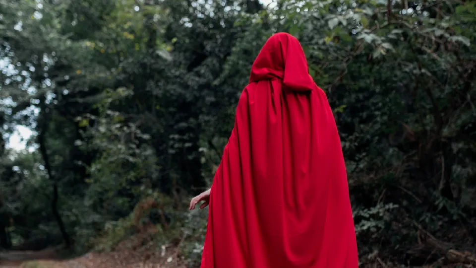 Фото: freepik.com