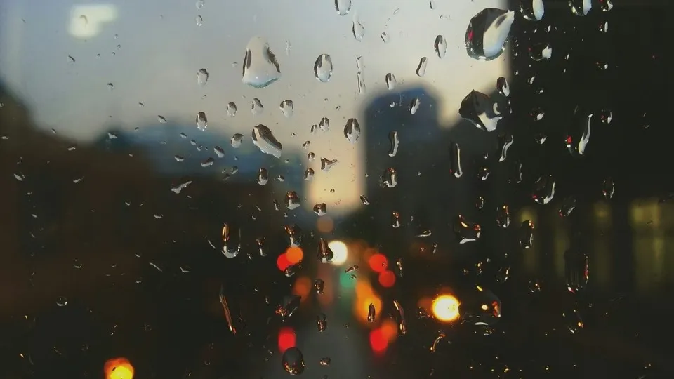 Фото: pxhere.com