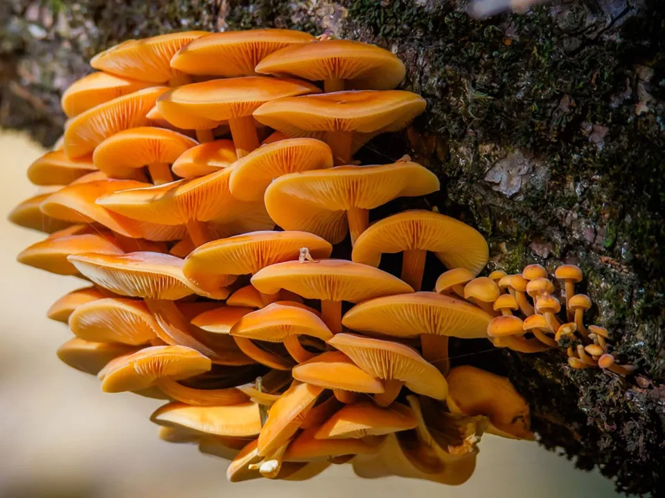 Фото: Владимир Данюшин