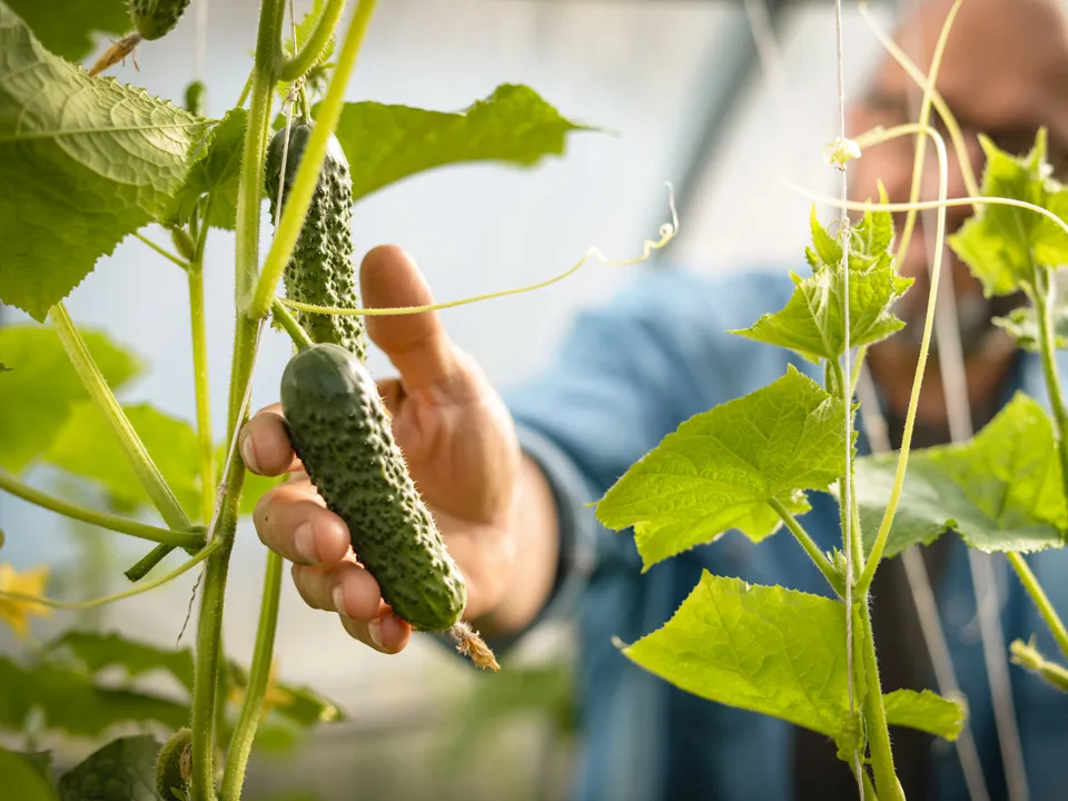 Фото: istockphoto.com