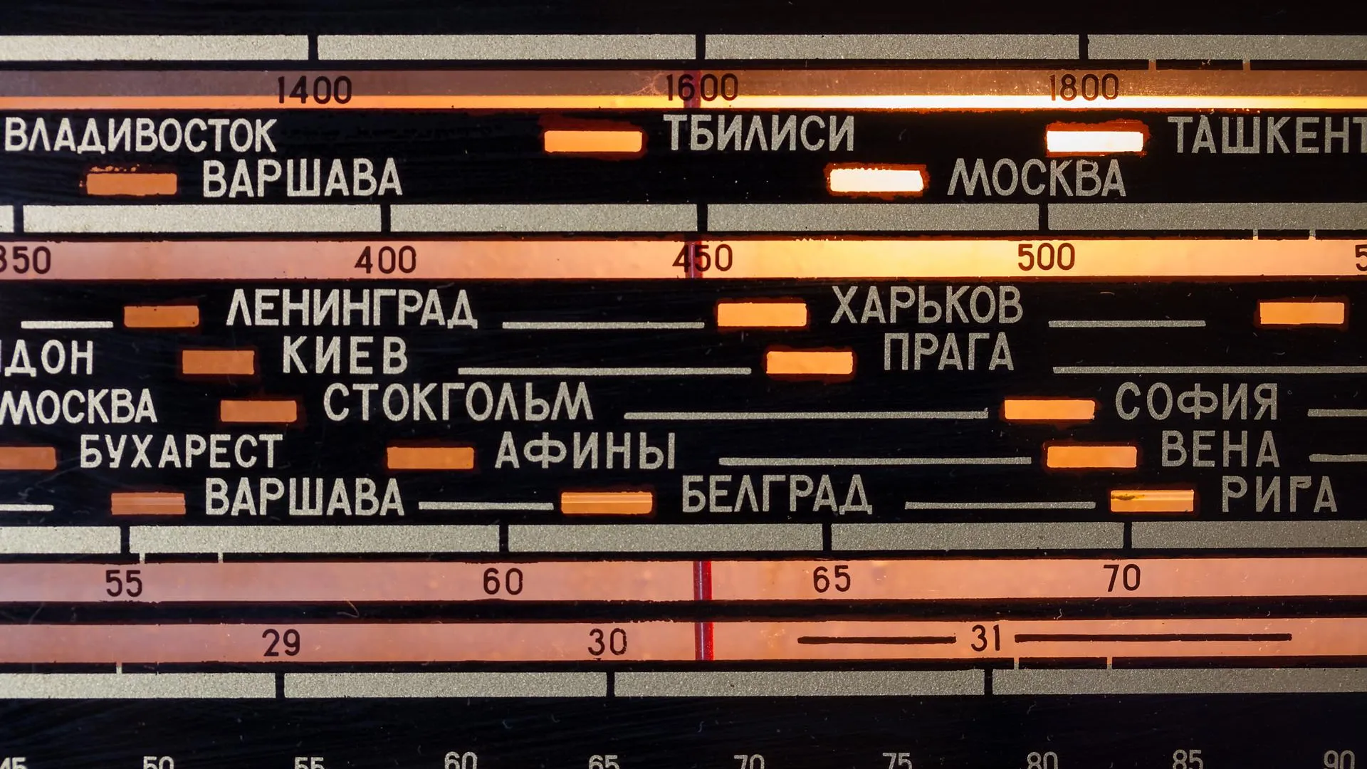 Ilya Galakhov/Global Look Press