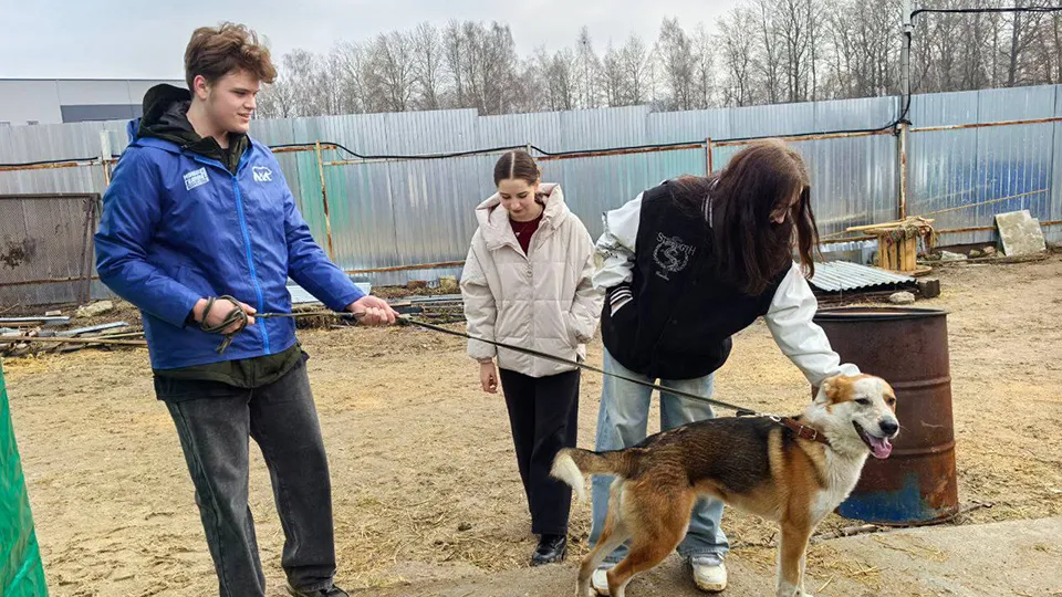 Фото: «Единая Россия» г.о. Серпухов