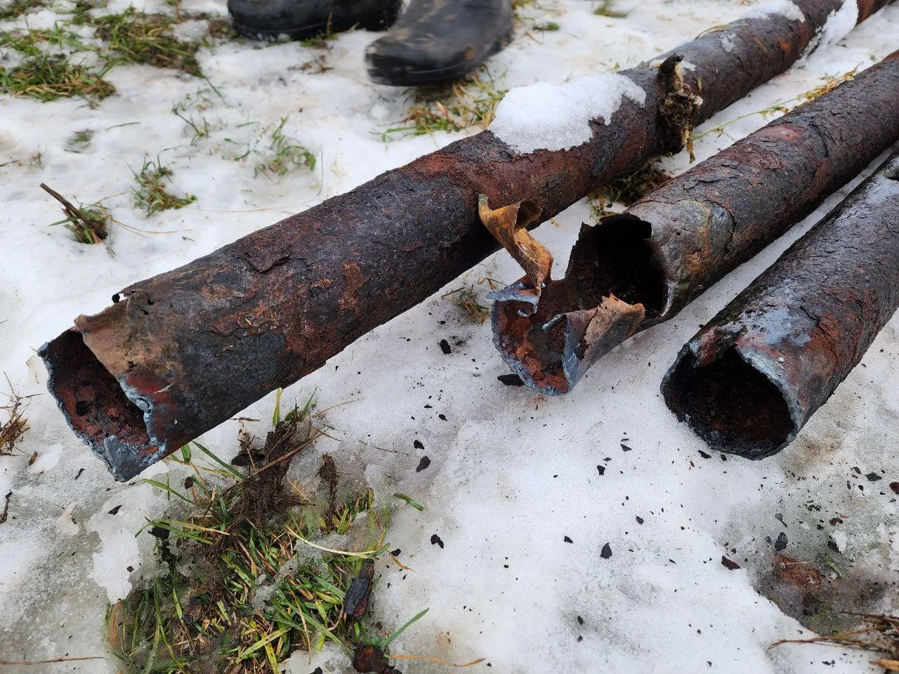 Фото: Светлана Плотникова