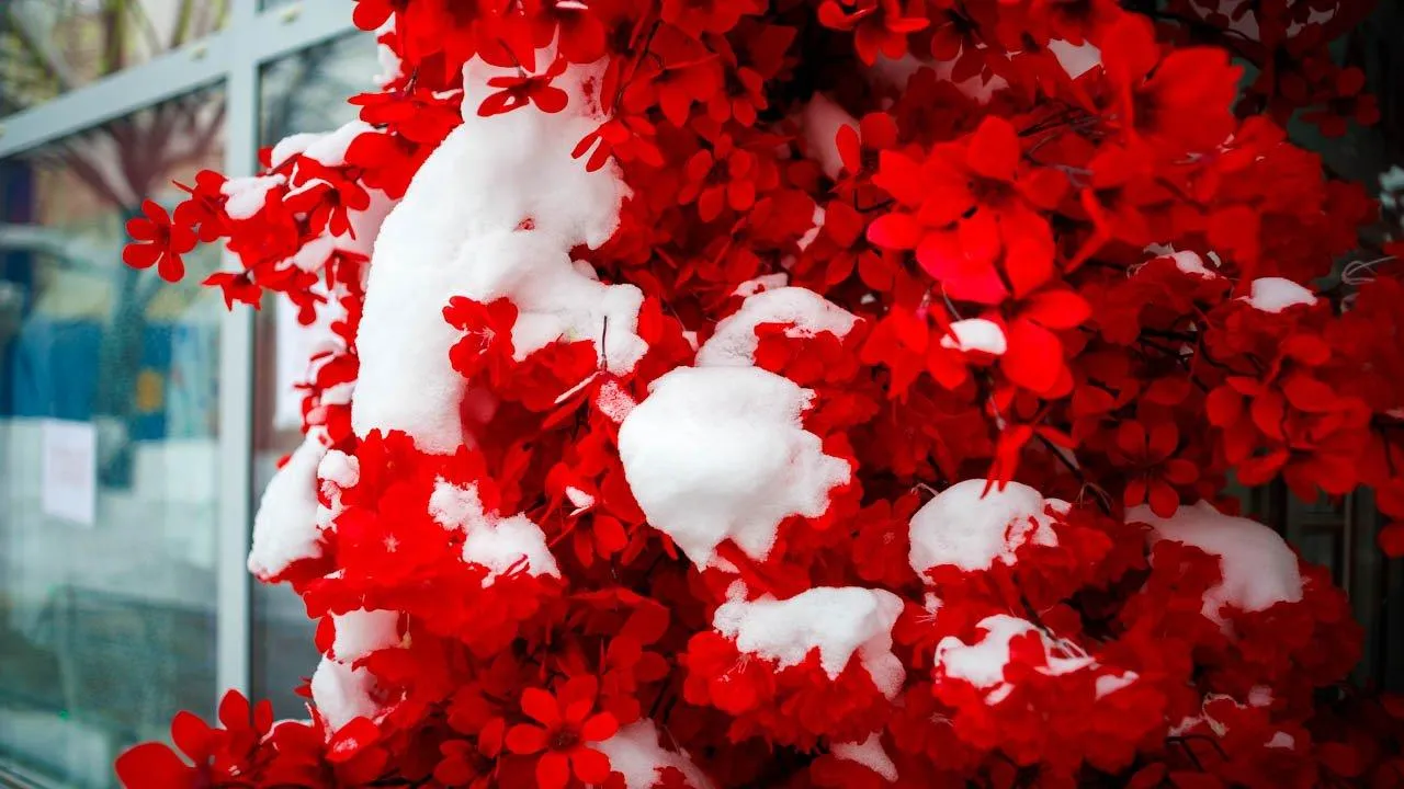 Не только бабочки: энтомолог из Наро‑Фоминска назвал виды, чья популяция взорвется весной из‑за аномального снега