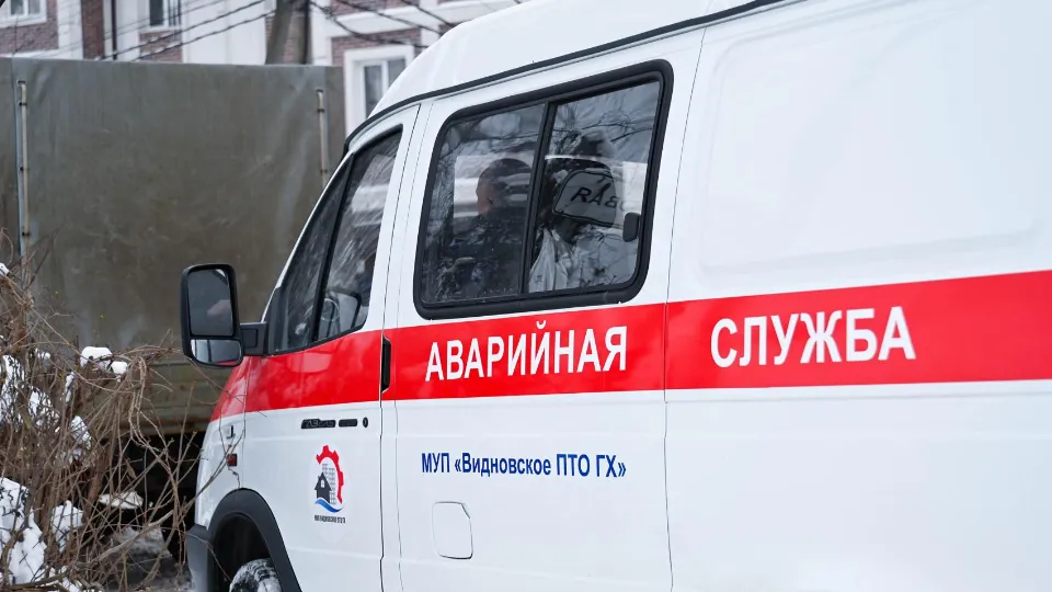 Фото: пресс-служба администрации Ленинского г.о.