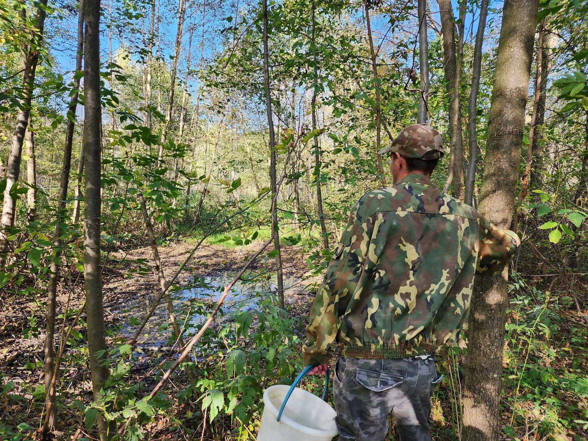 Источник: Александр Степушкин