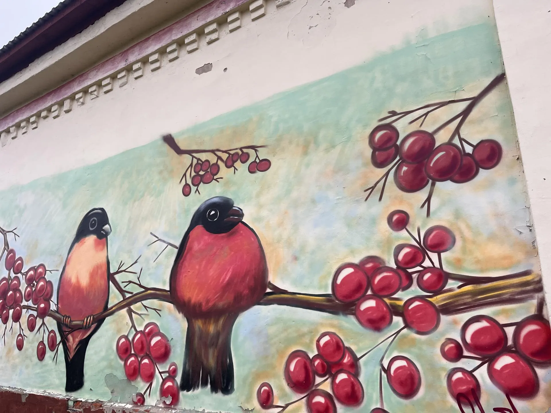 Фото: МедиаБанк Подмосковья/Ангелина Стельмух