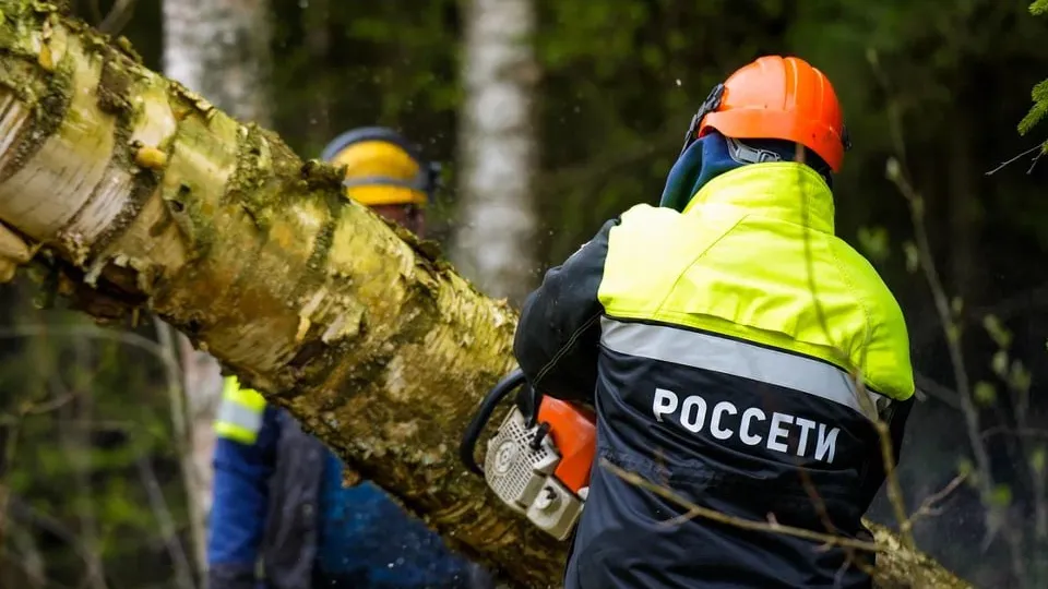 Фото: пресс-служба губернатора и правительства Московской области/Александра Степанова