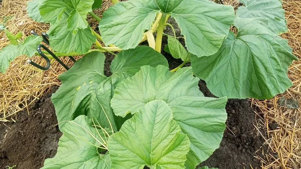 Фото: Андрей Гусев