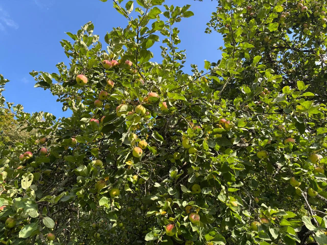 Фото: REGIONS/Алена Мельникова&nbsp;