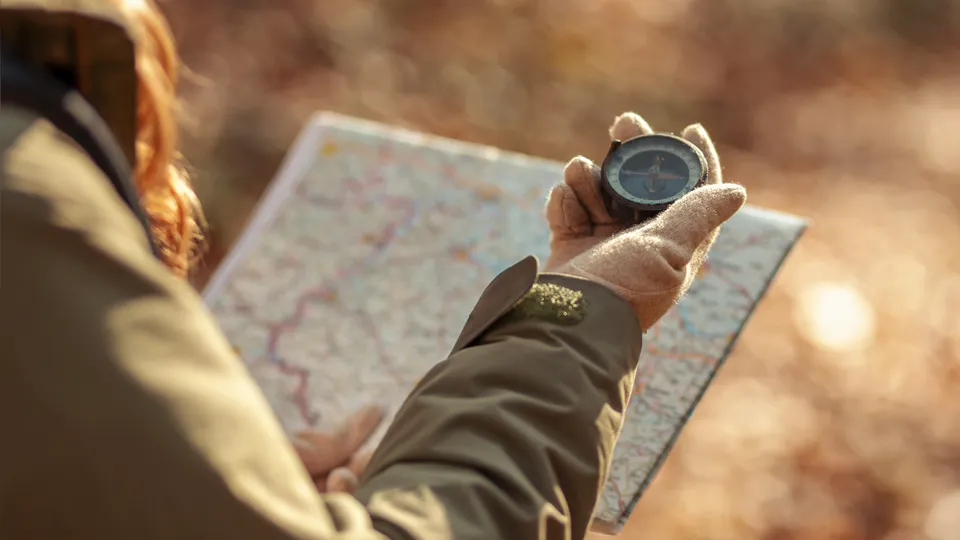 Фото: istockphoto.com/vladans