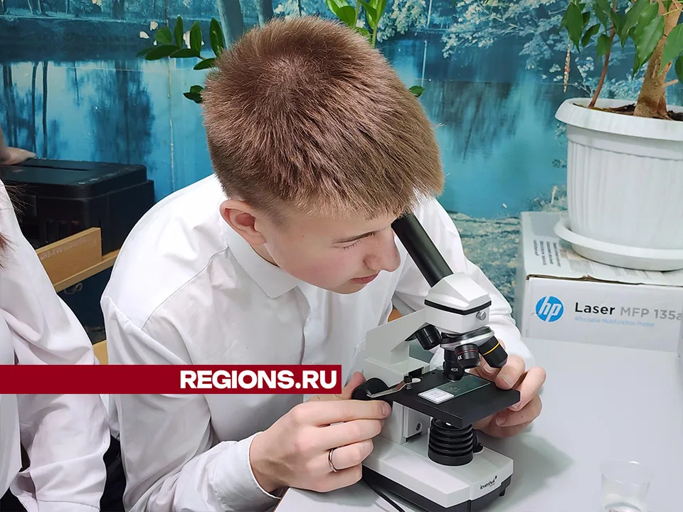 Фото: REGIONS/Александр Степушкин