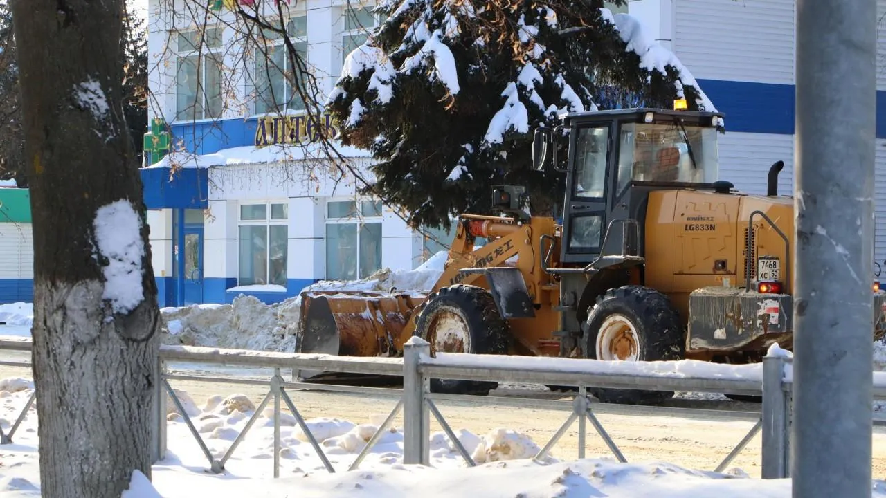 МедиаБанк Подмосковья/Ирина Матвеева