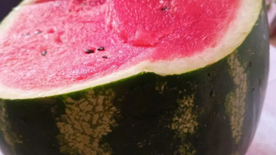 Фото: Наталья Широкая