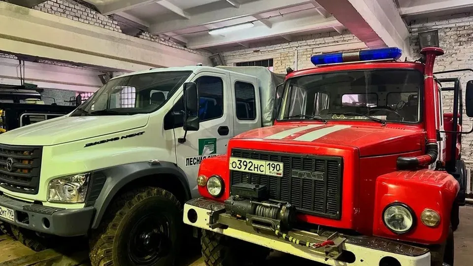 Фото: ГУ МЧС России по Московской области