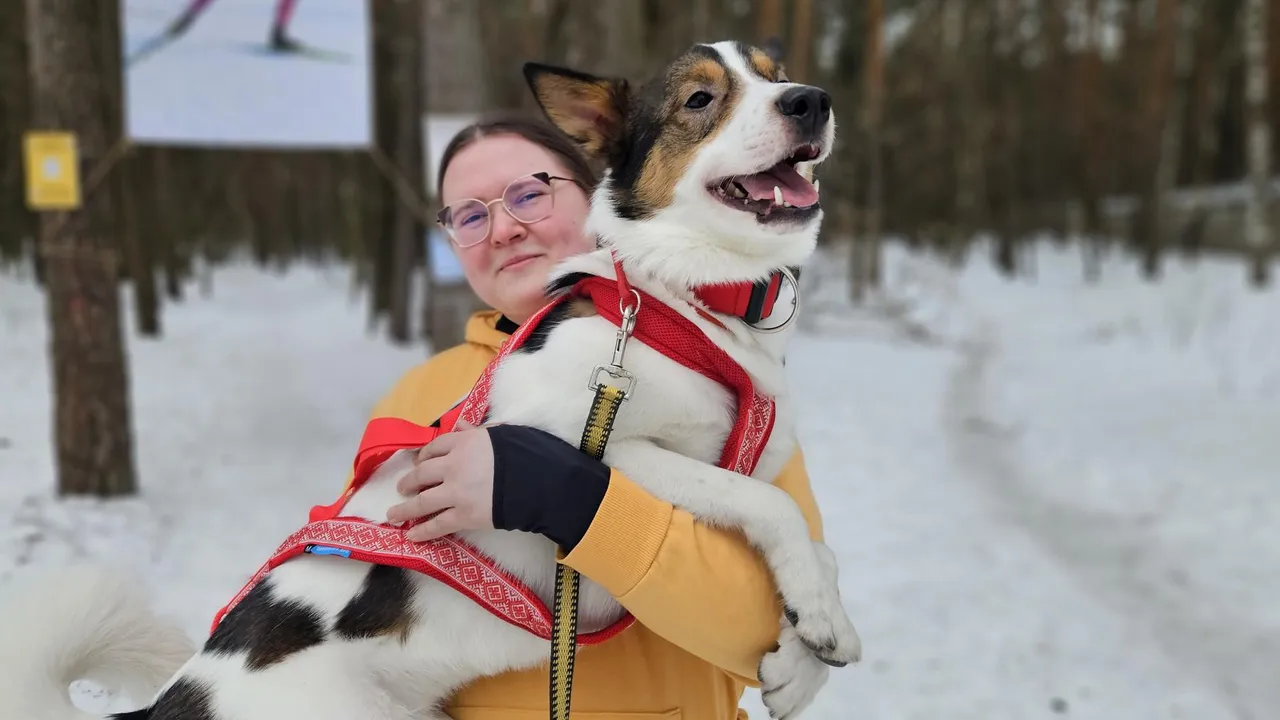 МедиаБанк Подмосковья/Ольга Вельшикаева