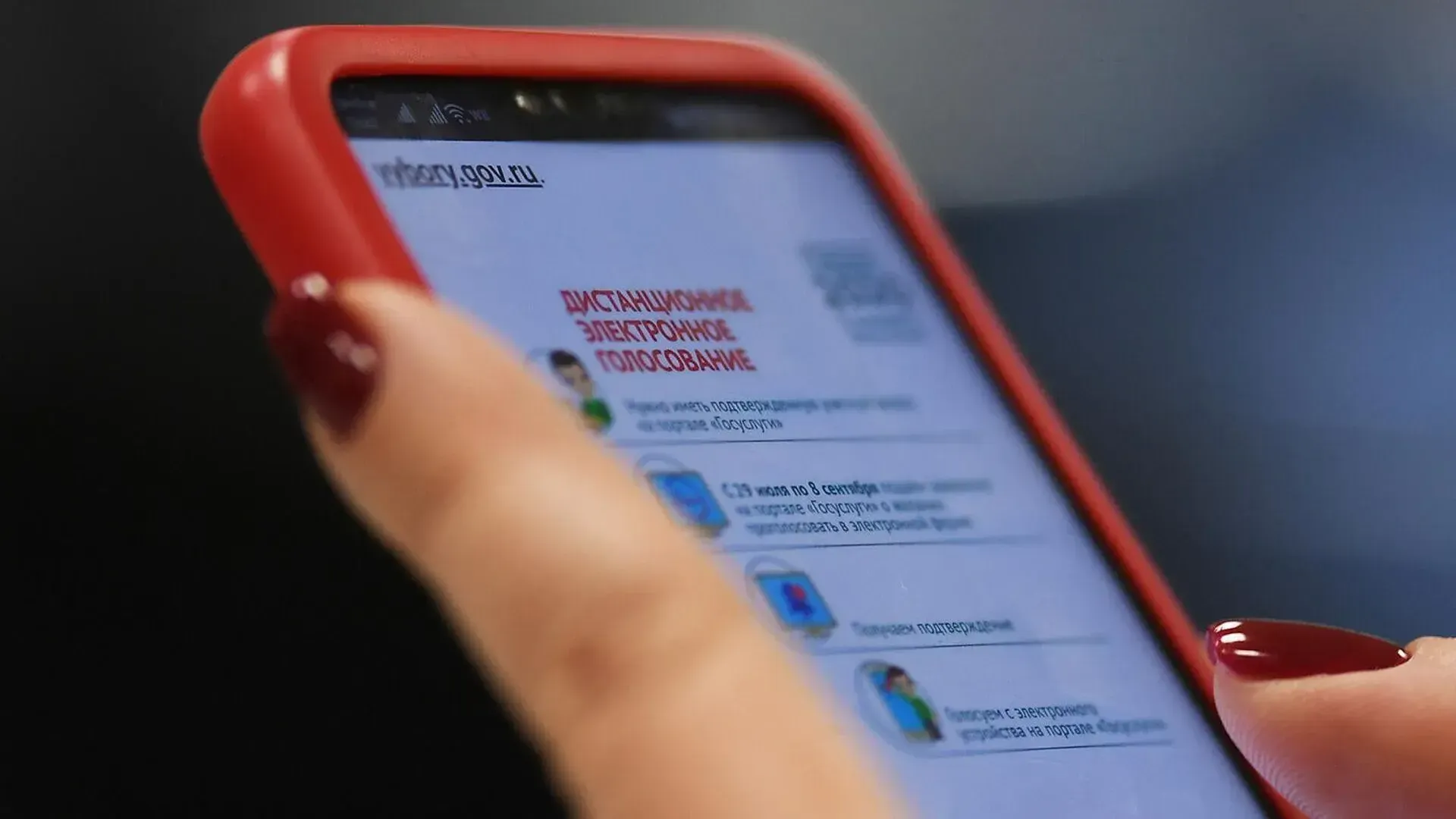 РИА Новости / Владимир Астапкович