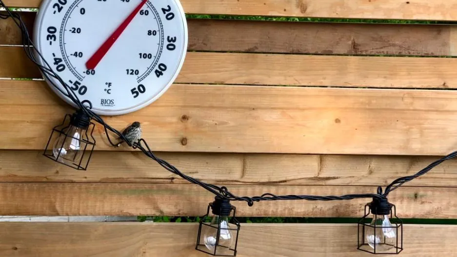 Фото: Luis Aguila