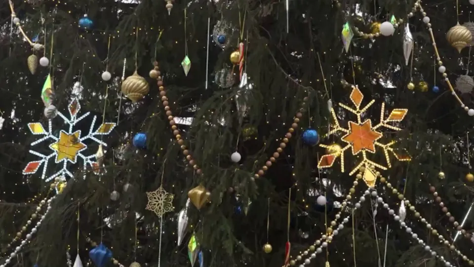 Фото: t.me/udprusfed