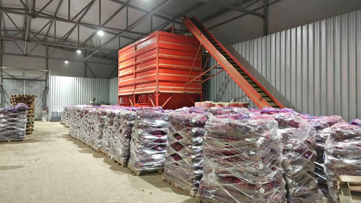 Рекорд урожая в Коломне: что собрали и куда отправят