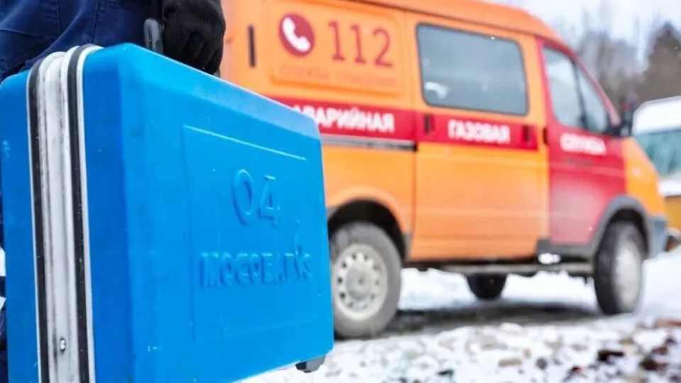 Фото: министерство энергетики Московской области