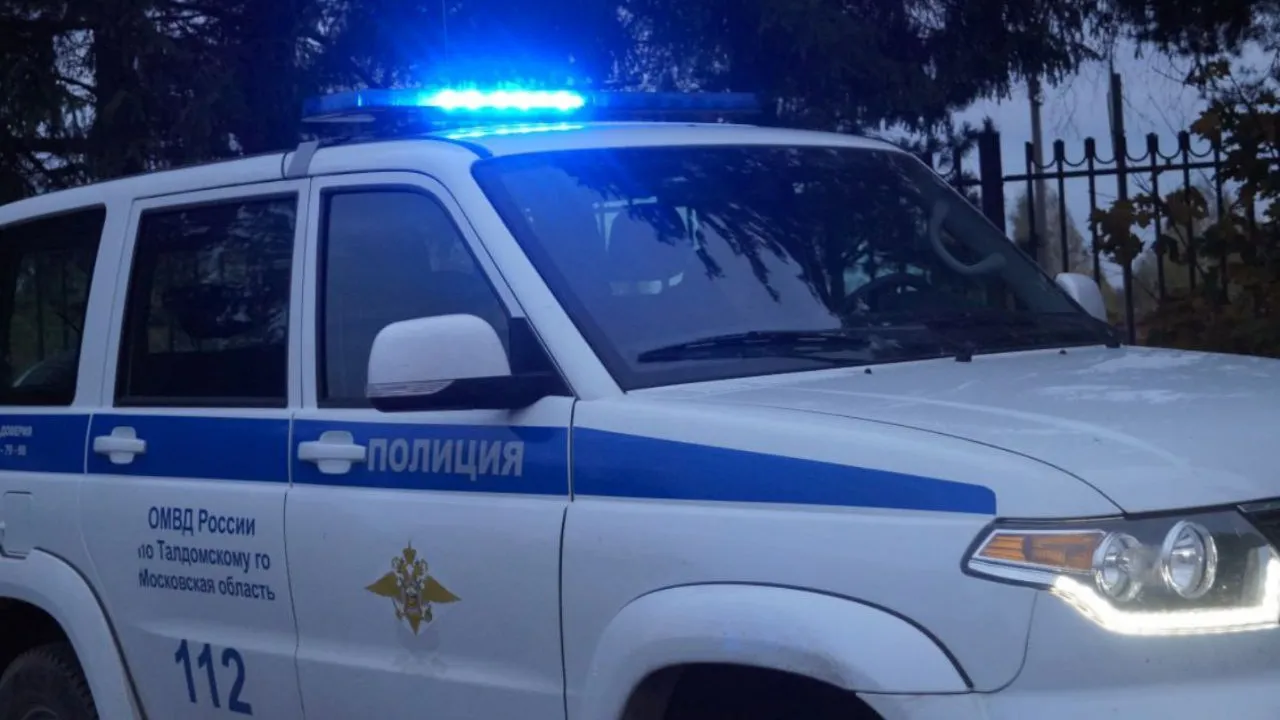 Фото: пресс-служба ОМВД Талдомского городского округа