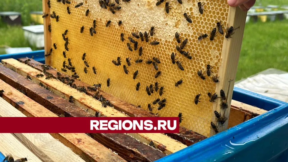 Фото: Данила Кирьянов