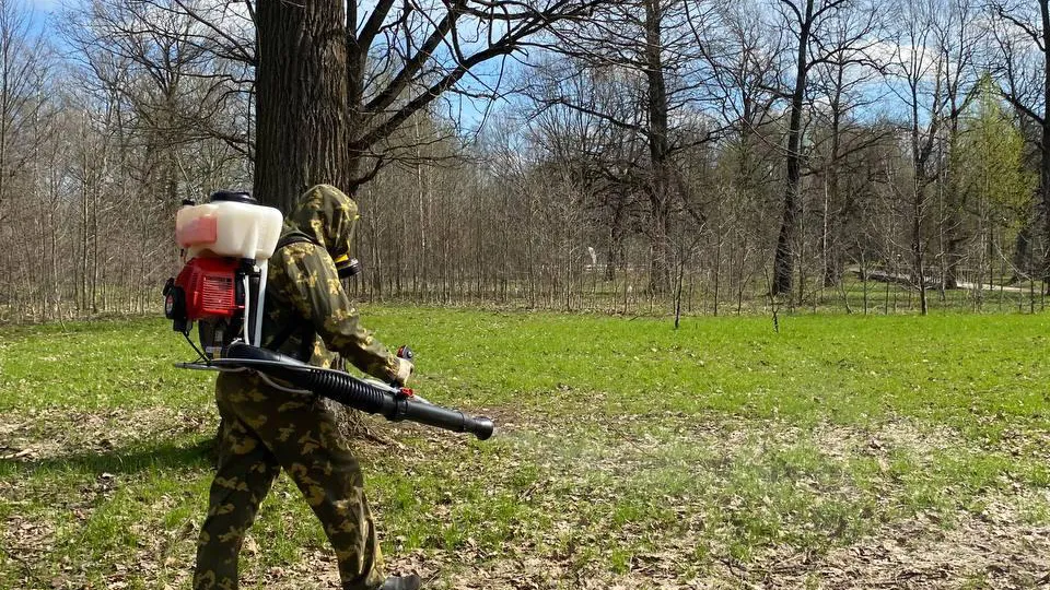 Фото: Министерство благоустройства Московской области