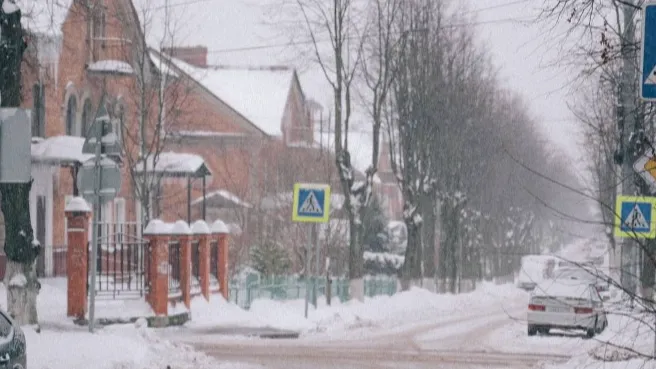 Видное вновь под властью снегопада. Фото: ТГ-канал Станислава Каторова