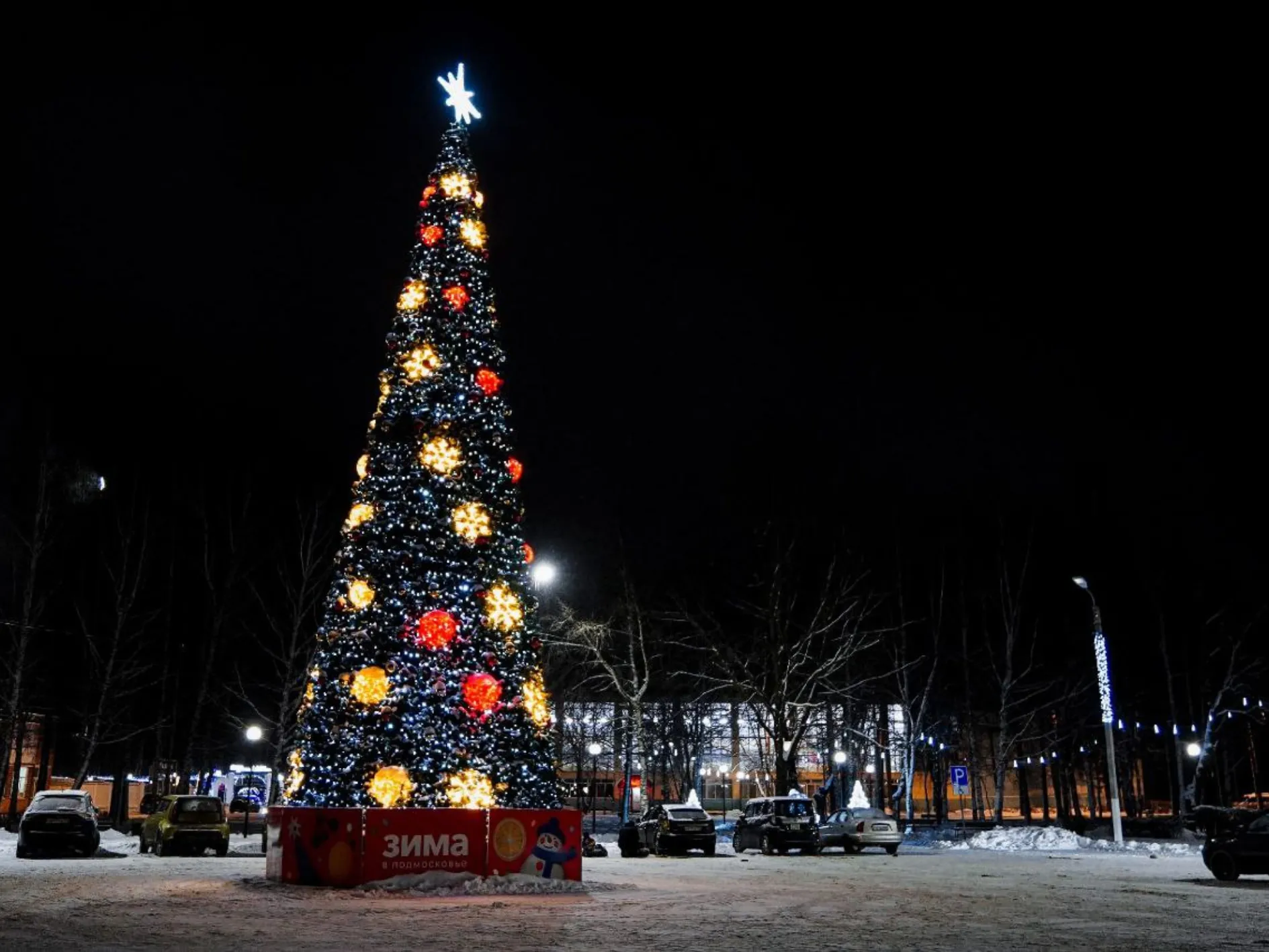 Фото: пресс-служба администрации Шатурского округа