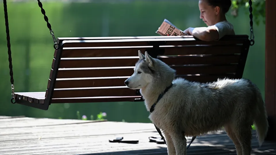 Фото: РИА Новости/Рамиль Ситдиков