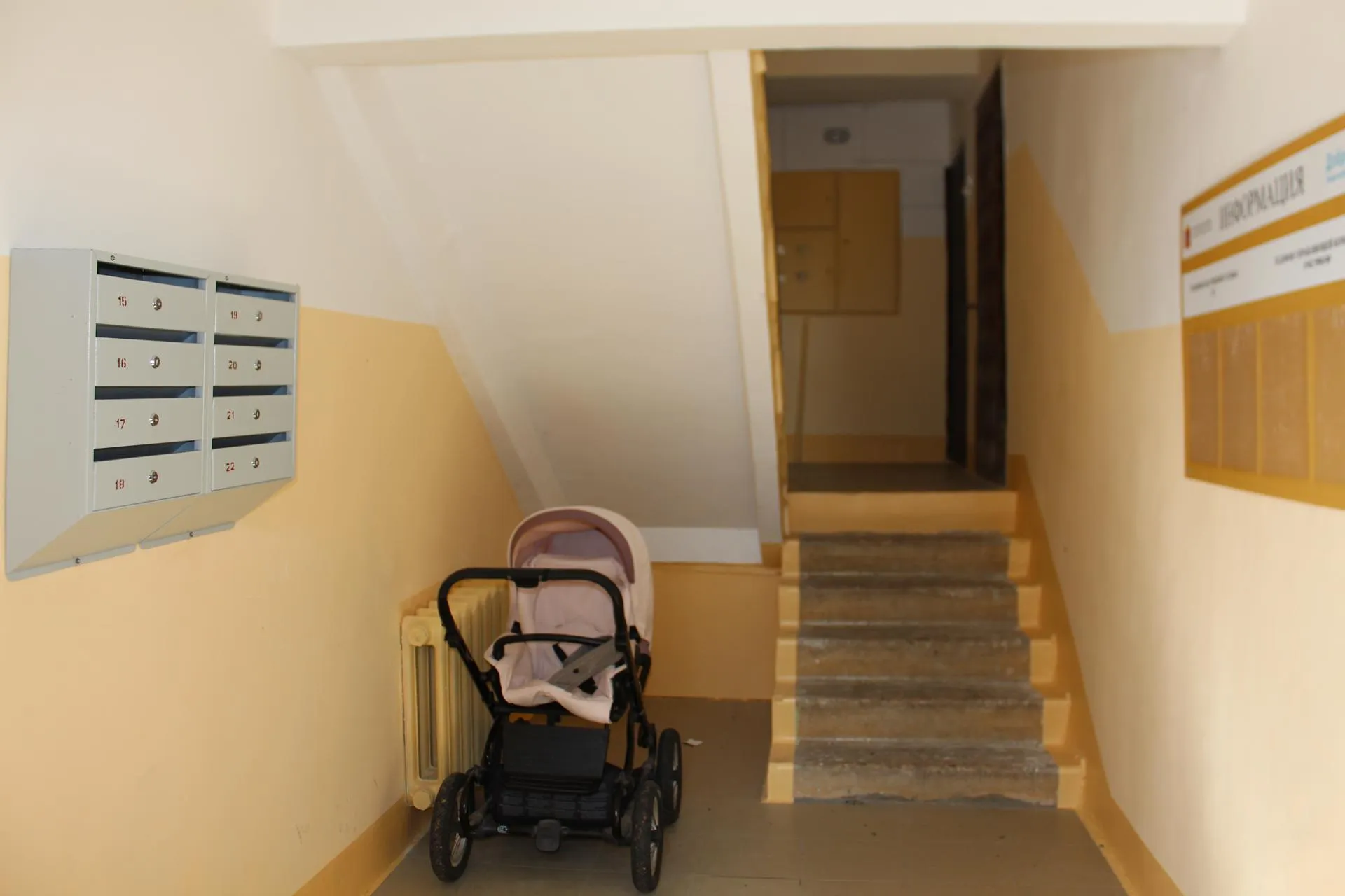 Фото: Дарья Кузнецова