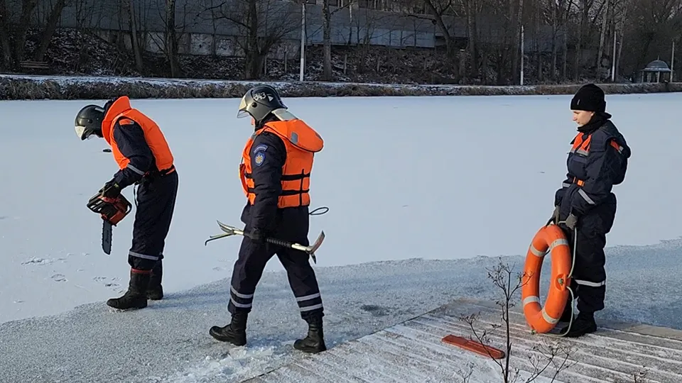 Фото: МедиаБанк Подмосковья/Ольга Антонова
