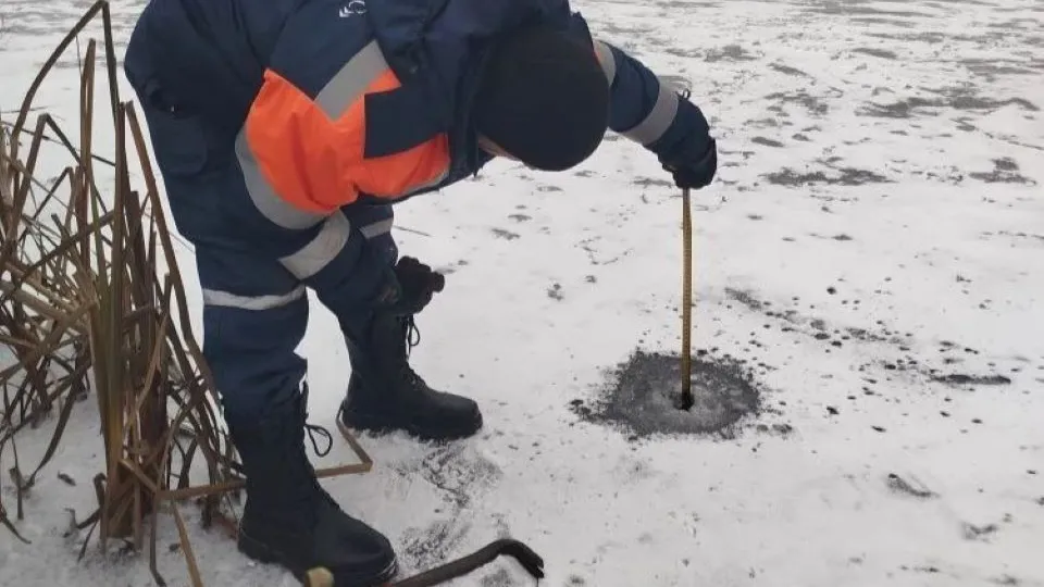 Фото: t.me/mkueddsche