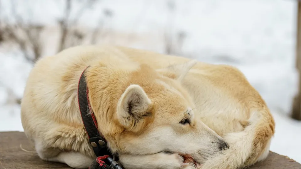 Фото: медиасток.рф