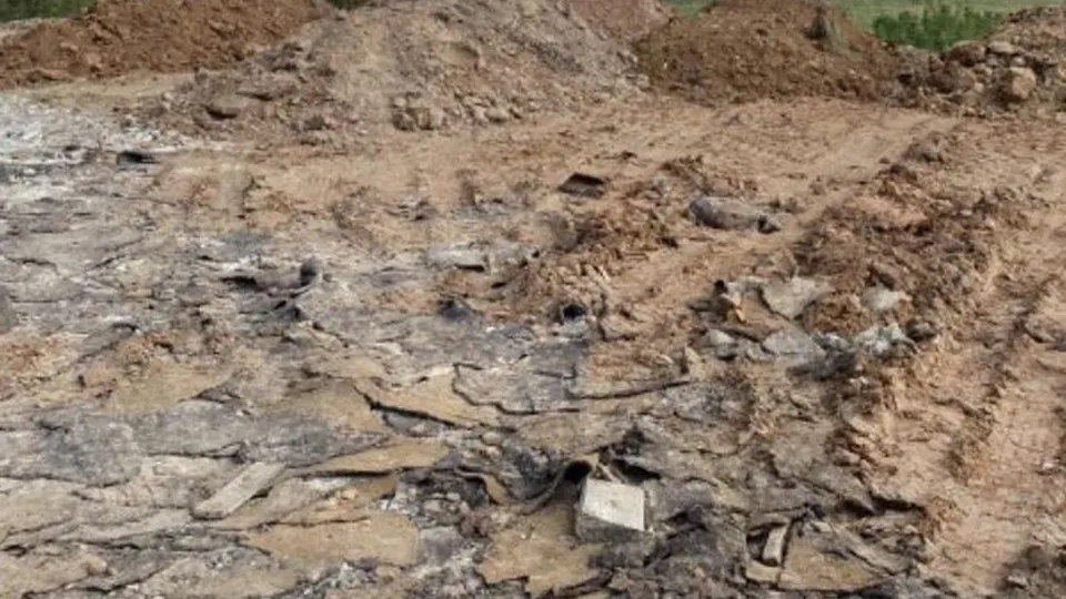 Фото: Министерство экологии и природопользования Московской области