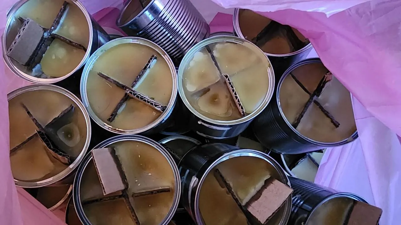 REGIONS/Екатерина Мелкозерова