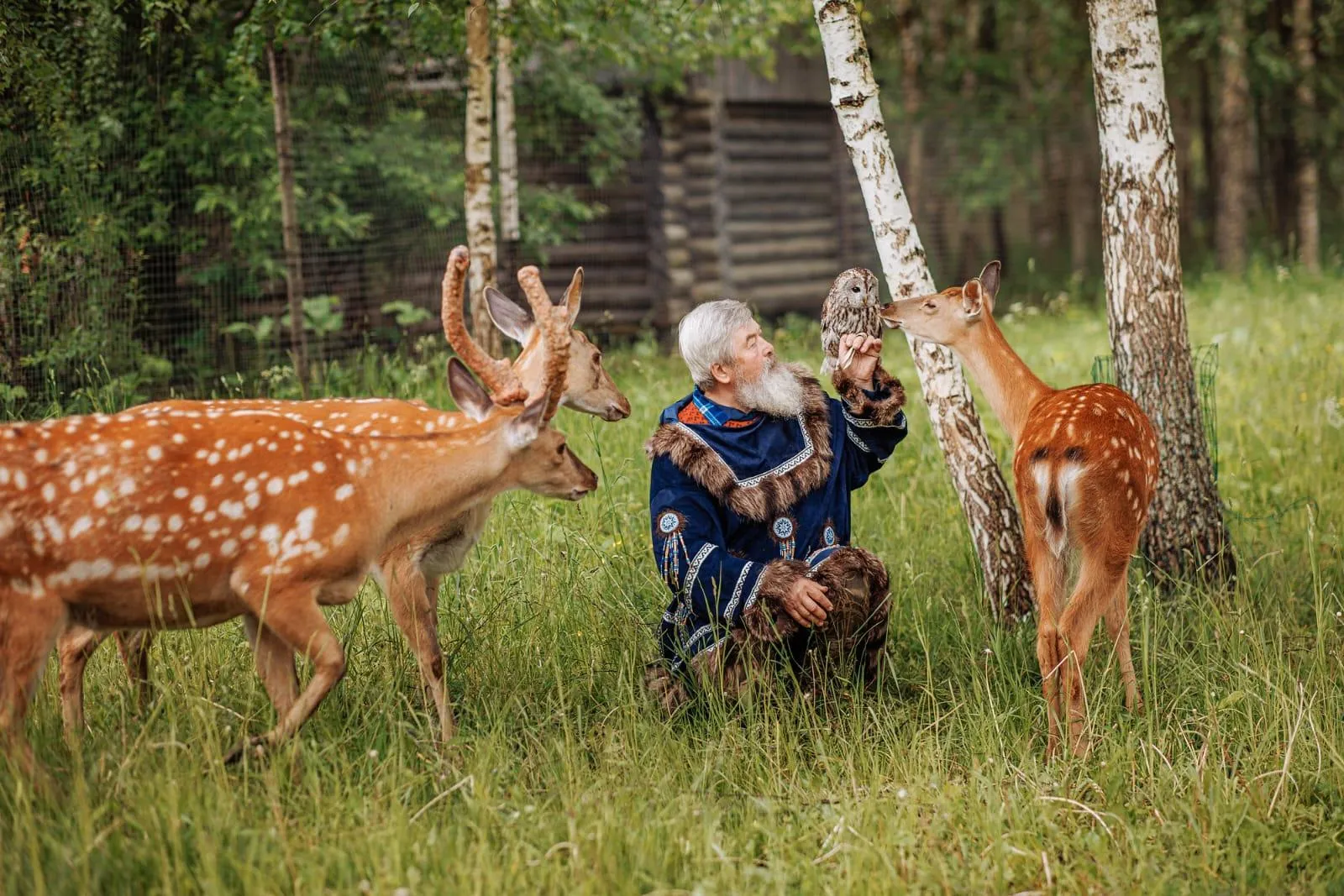Фото: Василий Васичкин / Руза заповедная