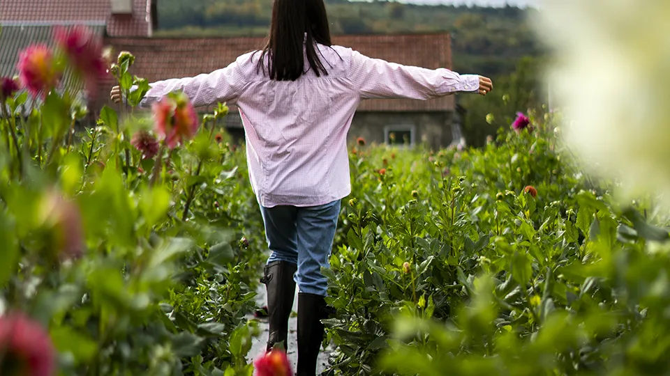 Фото: freepik.com