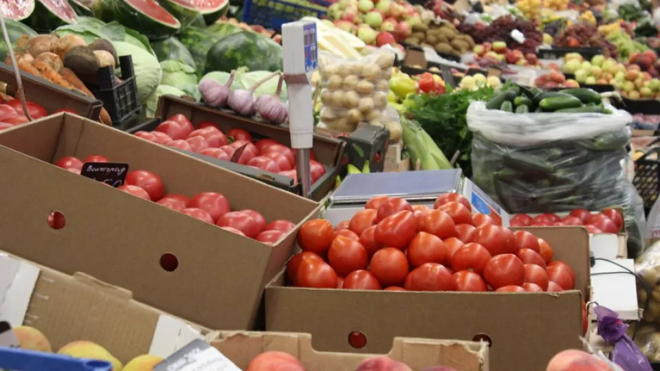 Фото: REGIONS/Анастасия Широкая