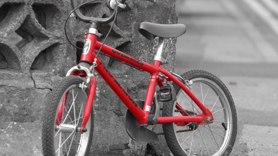 Фото: pxhere.com