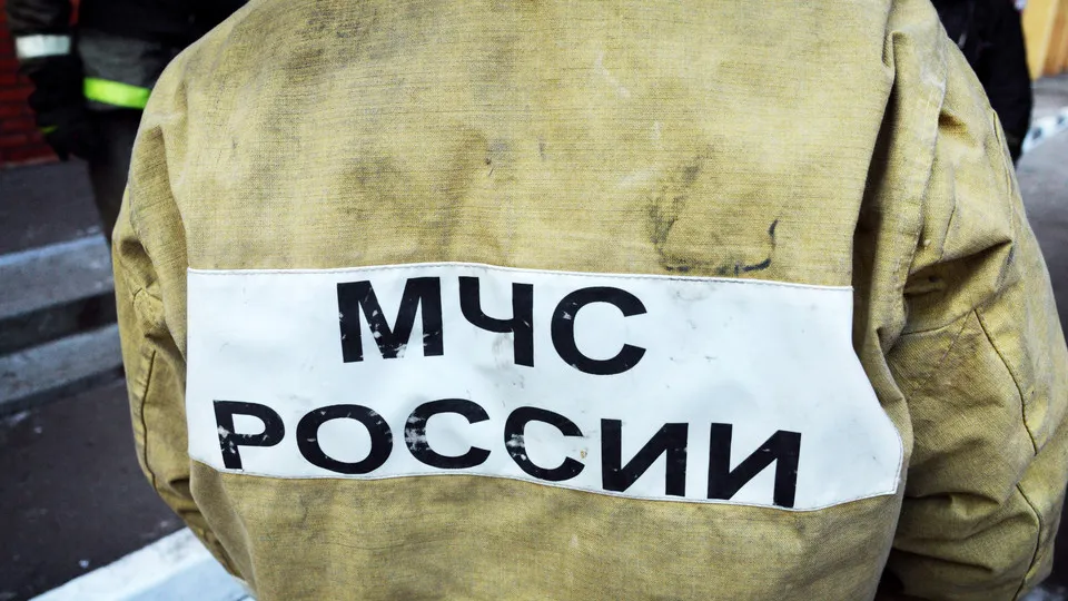 Фото: МедиаБанк Подмосковья